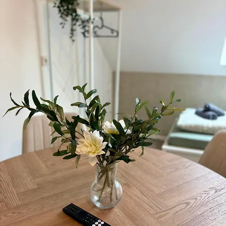 Apartment Modernes 4 Für Monteure Mit Parkplatz In
